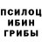 Шишки марихуана OG Kush Alim Rasulov