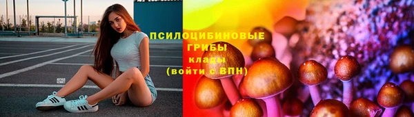дурь Алексин