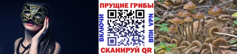 Галлюциногенные грибы GOLDEN TEACHER  наркотики  Белебей 